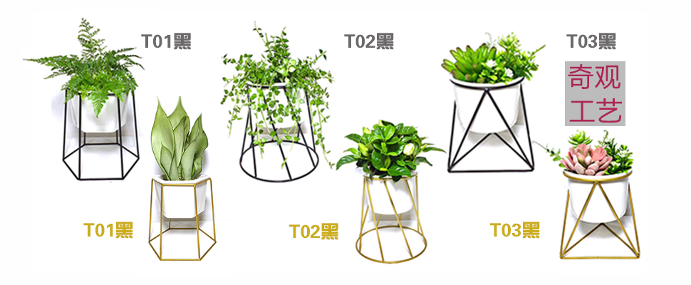 <b>奇观新品陶盆上架</b>